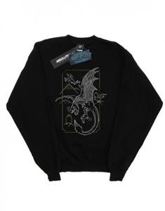 Harry Potter jongens Dragon Line Art Sweatshirt 12-13 wit