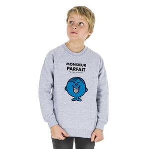 Monsieur Madame MONSIEUR PERFECT kindersweater 4 ans heide grijze kleur