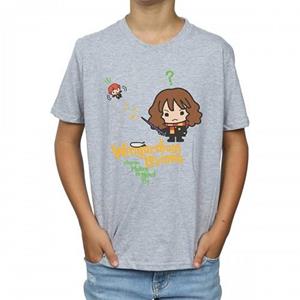 Harry Potter Boys Wingardium Leviosa Hermione T-Shirt 12-13 grijs