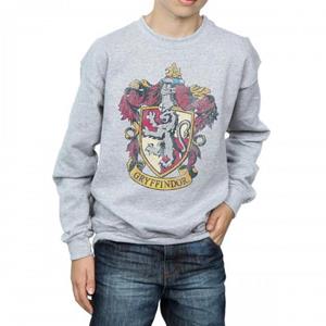 Harry Potter jongens Griffoendor Sweatshirt 12-13 grijs