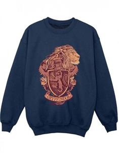 Harry Potter jongens Gryffindor Sketch Crest Sweatshirt 5-6 Years wit
