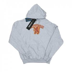 Harry Potter jongens Gryffindor Sport embleem hoodie 12-13 grijs