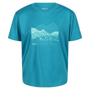 Regatta Kinderen/Kinderen Alvarado VI Berg T-shirt (Emailleblauw)