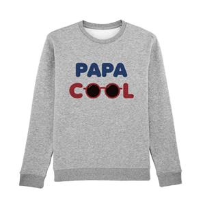 Herensweater - PAPA COOL ENKR XS heide grijze kleur