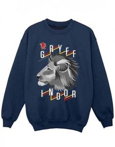 Harry Potter Girls Gryffindor Lion Icon-sweatshirt 12-13 zwart