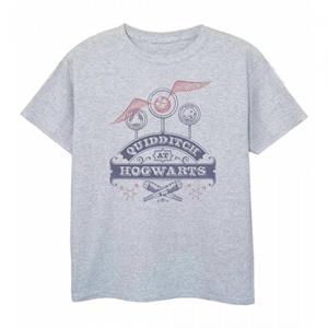 Harry Potter Boys Quidditch T-Shirt 12-13 grijs