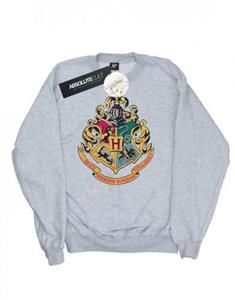 Harry Potter jongens Zweinstein Crest gouden inkt Sweatshirt 9-11 Years wit