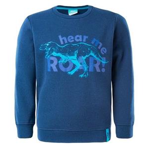 Pertemba FR - Apparel Bejo kinder/kinder Yakko dinosaurussweater 7 Years