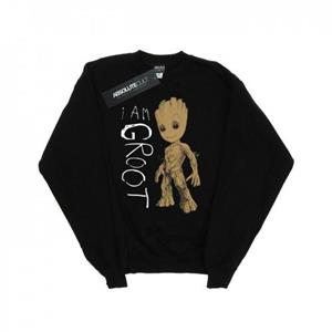 Marvel Girls Guardians of the Galaxy I Am Groot Scribbles Sweatshirt 12-13 zwart
