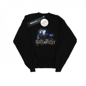 Pertemba FR - Apparel Hary Potter Heren Hogwarts Castle Sweatshirt L zwart