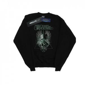 Pertemba FR - Apparel Fantastic Beasts Boys The Crimes Of Grindelwald Wand splitsweater 12-13 zwart