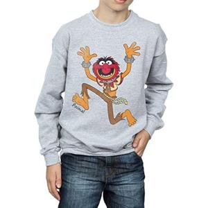 The Muppets Het klassieke dierensweatshirt voor jongens van Muppets 12-13 grijs