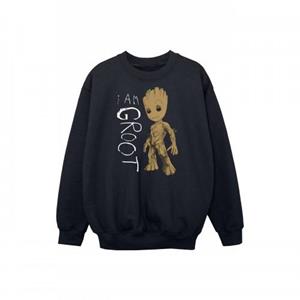 Marvel Boys Guardians of the Galaxy I Am Groot Scribbles Sweatshirt 12-13 zwart