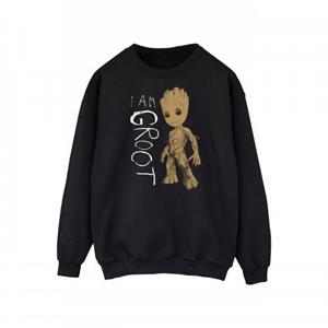Marvel Heren Guardians of the Galaxy I Am Groot Scribbles Sweatshirt L zwart
