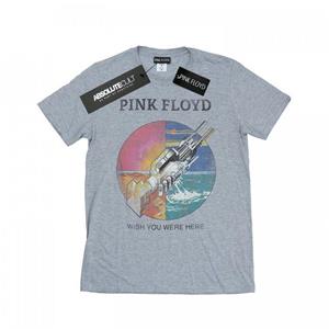 Pink Floyd Girls Wish You Were Here Boyfriend Fit katoenen T-shirt 12-13 grijs