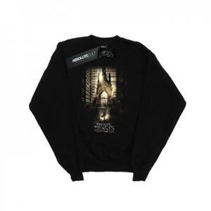 Pertemba FR - Apparel Fantastic Beasts heren filmposter sweatshirt L zwart