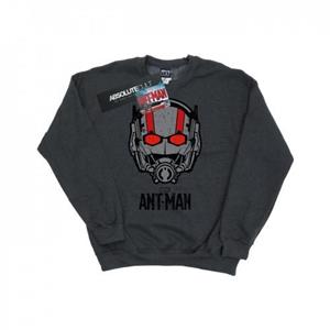 Marvel Ant-Man helm-sweatshirt voor heren L bruin