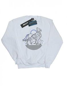 Harry Potter jongens Buckbeak Line Art Sweatshirt 12-13 wit
