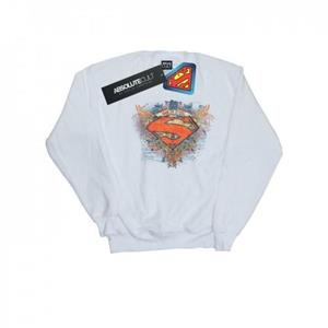 DC Comics Superman Wings Shield-sweatshirt voor heren L wit