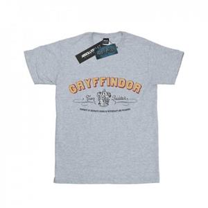 Harry Potter jongens Griffoendor Team Zwerkbal T-shirt 12-13 wit