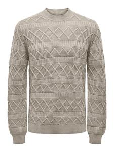 Only & Sons Trui Only & Sons ONSWADE REG 5 STRUC CREW NECK KNIT 22027159