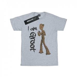 Marvel Boys Avengers Infinity War Graffiti Groot T-shirt 9-11 Years wit