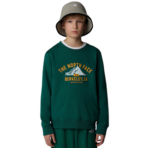 The North Face Varsity Relaxed Crew