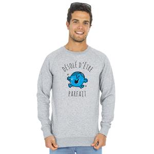 Monsieur Madame Herensweater - SORRY DAT HET PERFECT IS XS heide grijze kleur