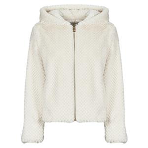 Windjack Guess NEW THEOLINE JACKET