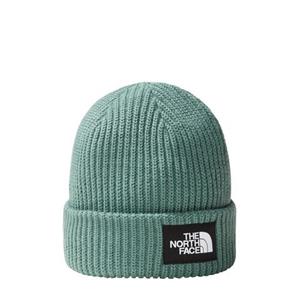 The north face Salty Lined Short Beanie Dark Sage