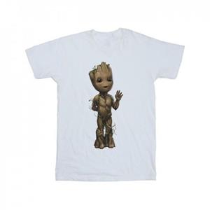 Marvel Boys I Am Groot Wave Pose T-shirt 5-6 Years wit