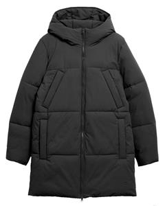 Elvine Jack 331248 brynolf