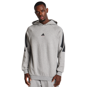 Adidas One Bball Hoodie Heren Hoodies - Grijs - 