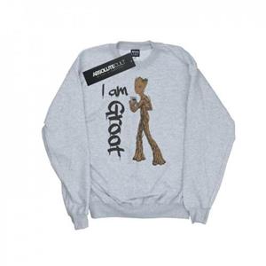 Marvel Boys Avengers Infinity War Graffiti Groot Sweatshirt 5-6 Years wit
