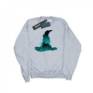 Harry Potter jongens Zweinstein silhouet Sweatshirt 12-13 zwart