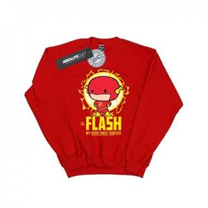DC Comics Boys Flash My Hero Since Forever Sweatshirt 9-11 Years wit