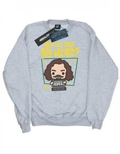 Harry Potter Mens Sirius Black Azkaban Junior Sweatshirt L grijs