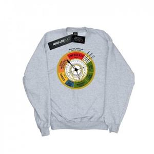 Pertemba FR - Apparel Fantastic Beasts jongens dreigingsniveau sweatshirt 12-13 wit