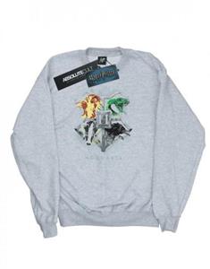 Harry Potter Mens Hogwarts Painted Crest Sweatshirt XL wit