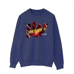 DC Comics Heren The Flash Pillars Sweatshirt L wit