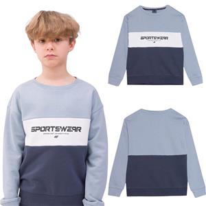 Boys' sports sweatshirt 4F M0923-34S hoodless grey size 122 grijs