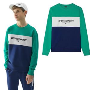 Boys' sports sweatshirt 4F M0923-41S hoodless green size 122 groen