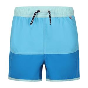 Regatta Kinderen/Kinderen Sergio Zwemshorts (Waterman/Indigo Blauw)