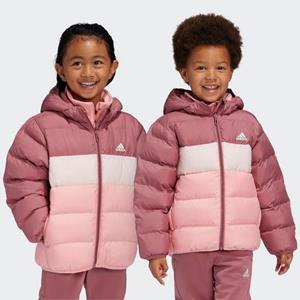 Windjack adidas IW0554