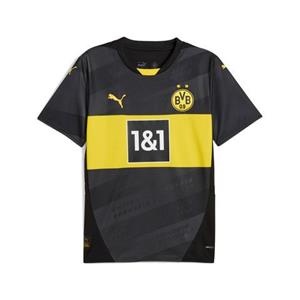Overige Borussia Dortmund Uit Shirt Senior 2024/2025 - 