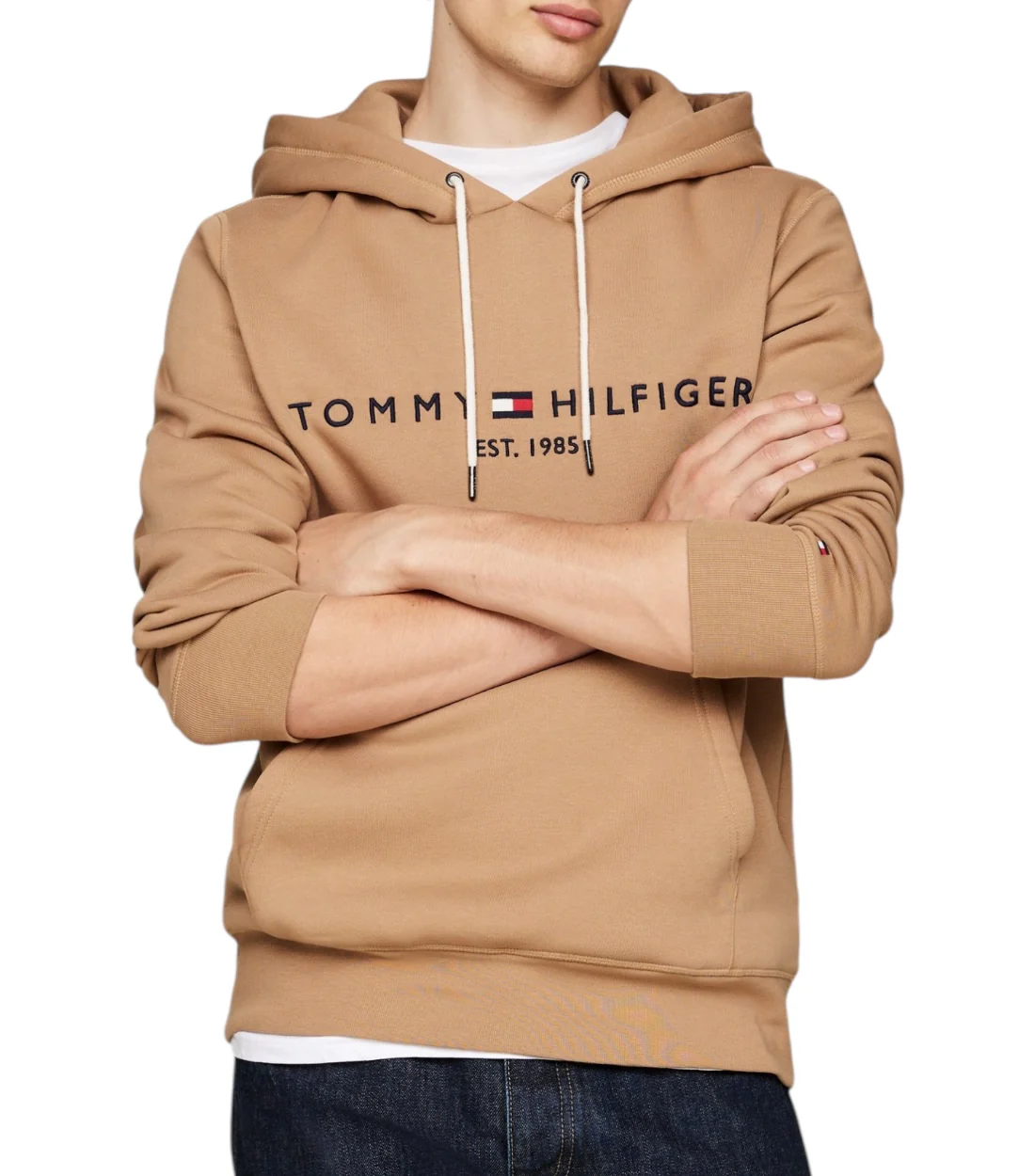 Tommy Hilfiger Logo hoodie