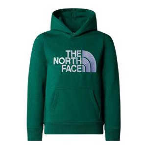 The North Face Drew Peak P/O Casual Sweater Jongens 140