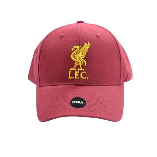 Liverpool FC Mass Basic Levervogelpet One Size grijs/Vloot