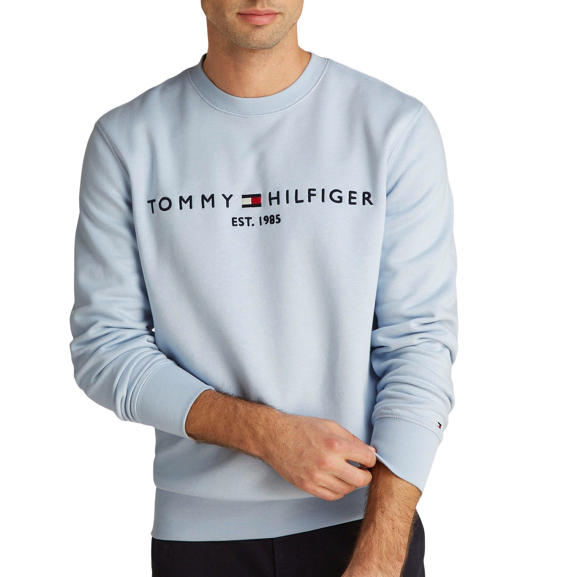 Tommy Hilfigerogo Sweater Heren