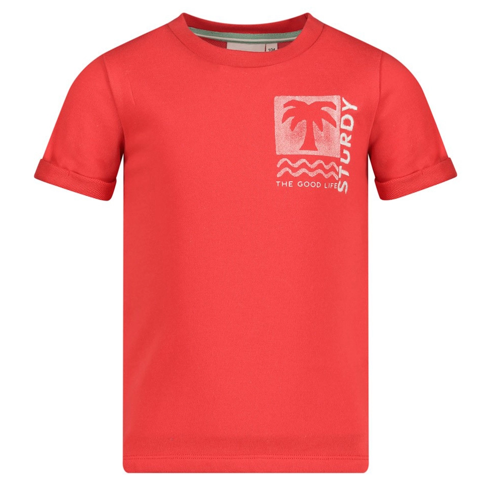 Sturdy jongens t-shirt